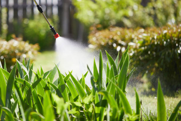 24/7 Emergency Mosquito Control experts in Dry Ridge, KY