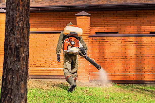 Top rated local Mosquito Control specialists in Dry Ridge, KY